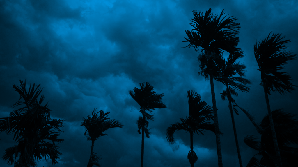 Hurricane Updates: Idalia (August 2023)
